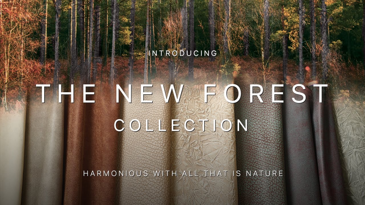 New Forest Collection